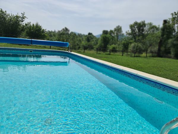 La piscina e il prato verde