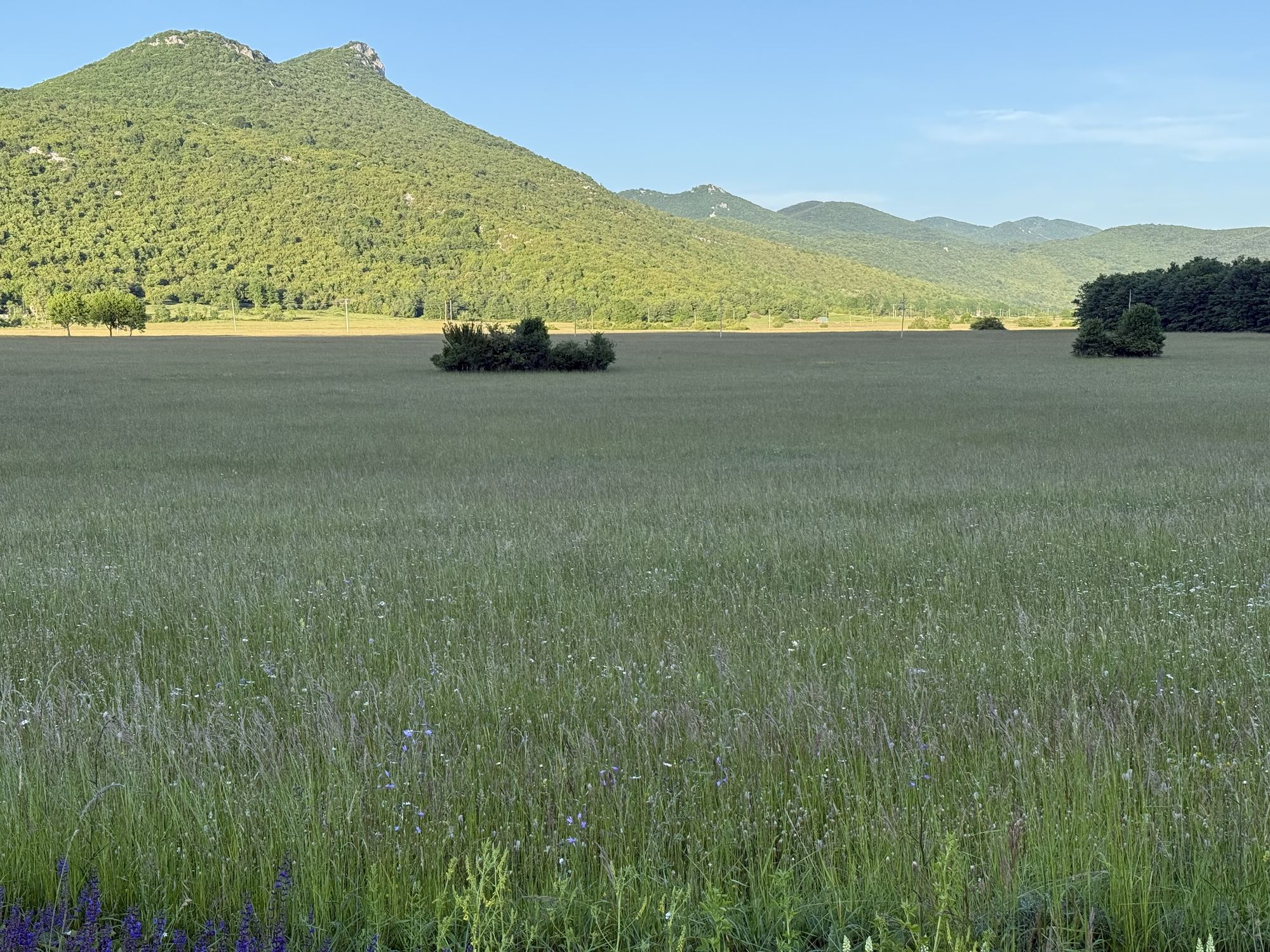 Un prato sotto le cime del Velebit